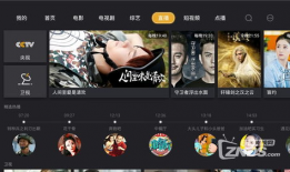 91看电视直播历史回放,回顾精彩瞬间，重温历史经典